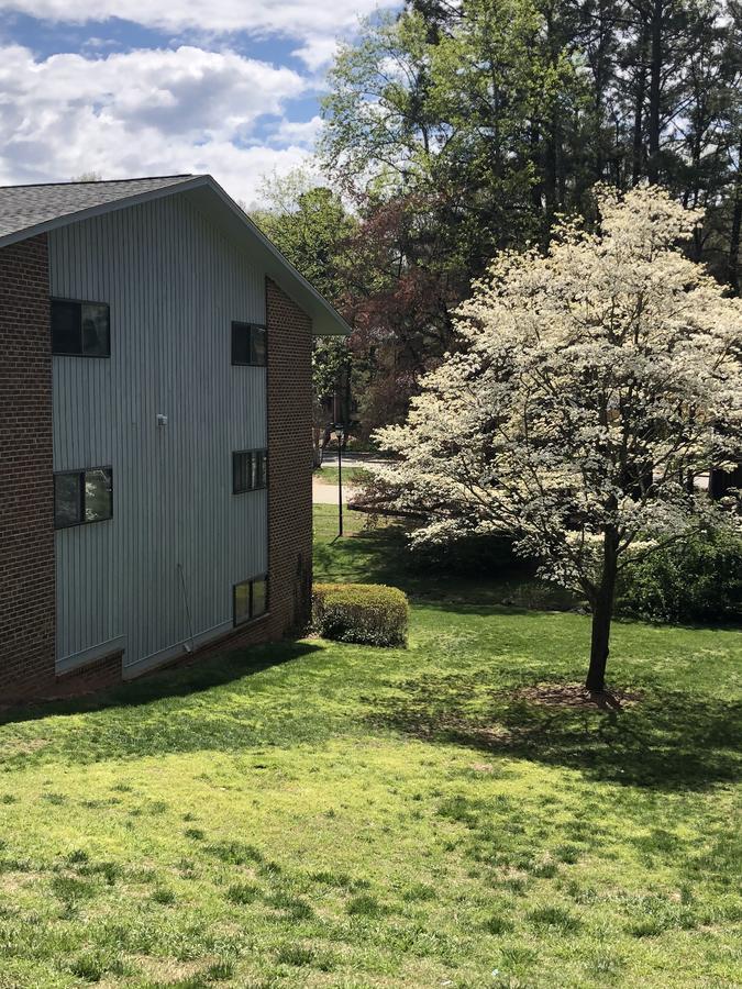 Modern Upscale Private Rooms Raleigh Exterior foto